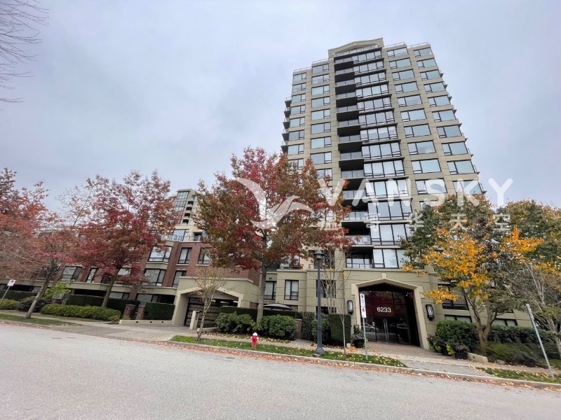 250606143234_FRONT copy Large.jpeg